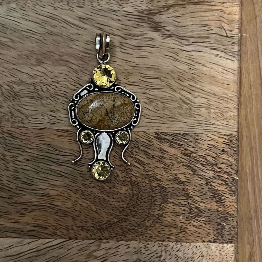 Picture Jasper Gemstone pendant